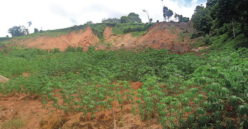 land land