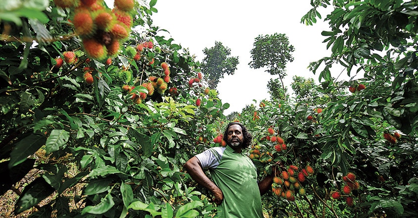 biju biju