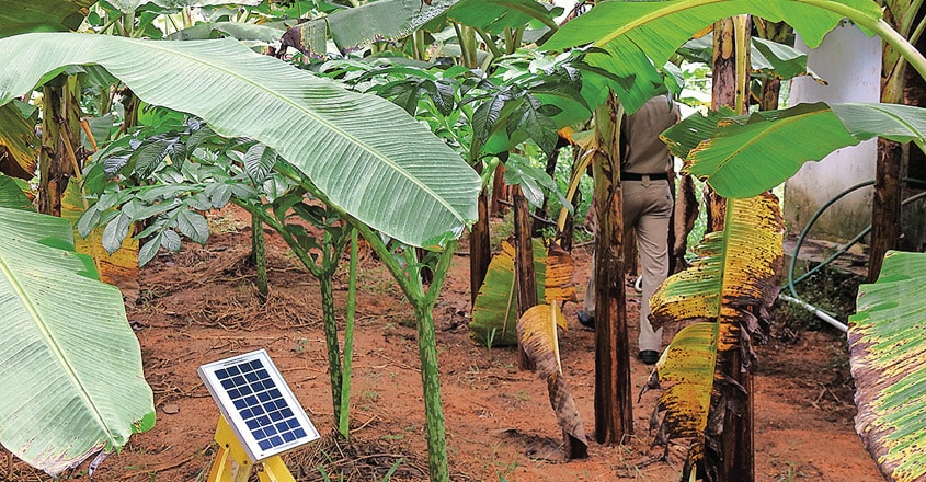 organic-farming-of-koothattukulam-police organic-farming-of-koothattukulam-police