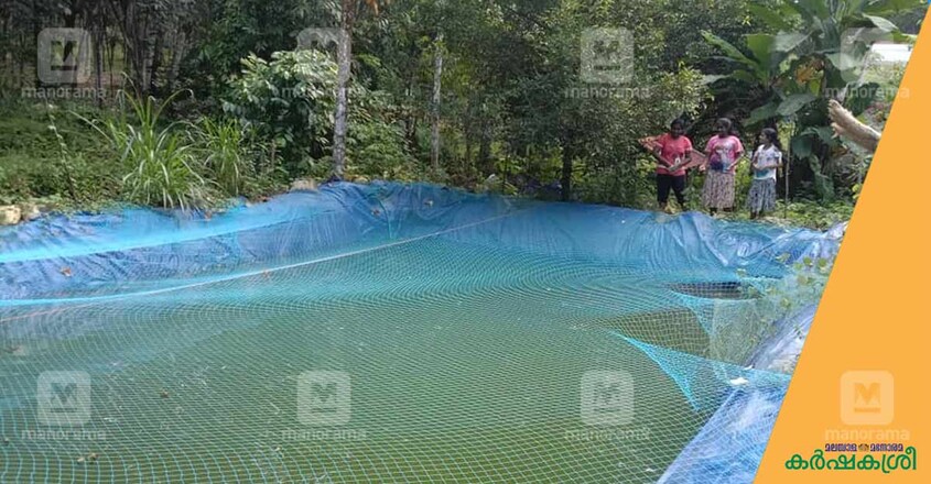 3-roses-fish-farming 3-roses-fish-farming