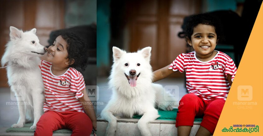 pet-spitz-dog pet-spitz-dog