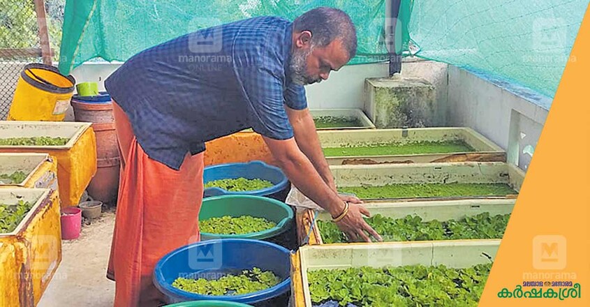 ornamental-fish-farmer-raju-1 ornamental-fish-farmer-raju-1