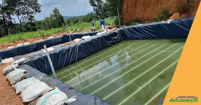 thanal-integrated-farm-fish-pond thanal-integrated-farm-fish-pond