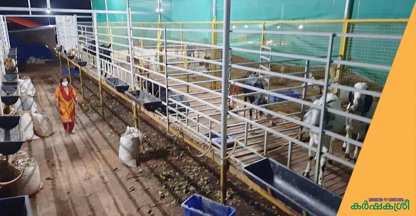 thanal-integrated-farm-goat-shed-1 thanal-integrated-farm-goat-shed-1