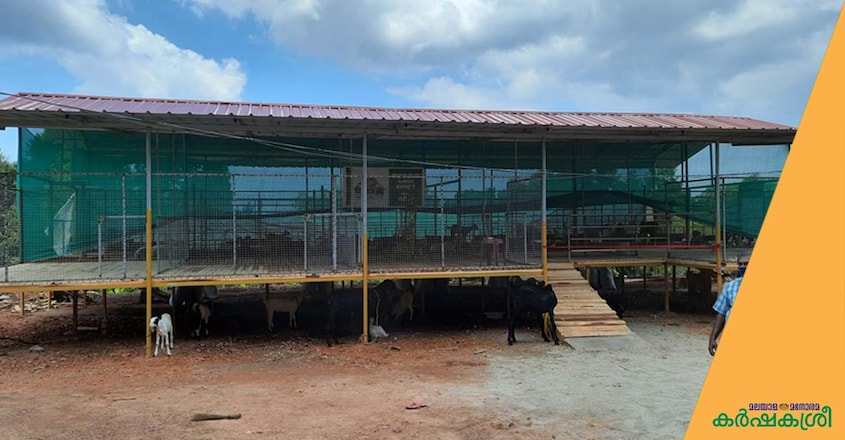 thanal-integrated-farm-goat-shed thanal-integrated-farm-goat-shed