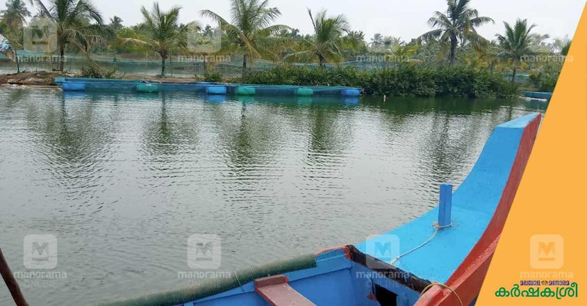 Kadavil-aqua-farm Kadavil-aqua-farm