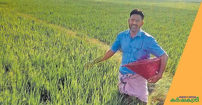 artists-in-farming-jayakumar artists-in-farming-jayakumar