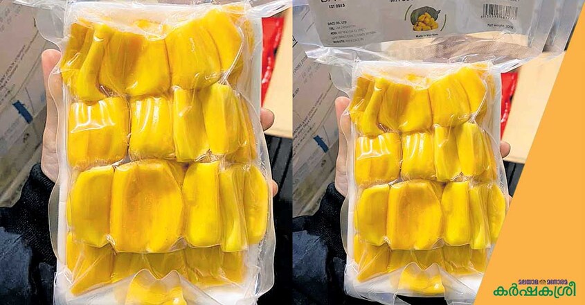 frozen-jack-fruit-1 frozen-jack-fruit-1