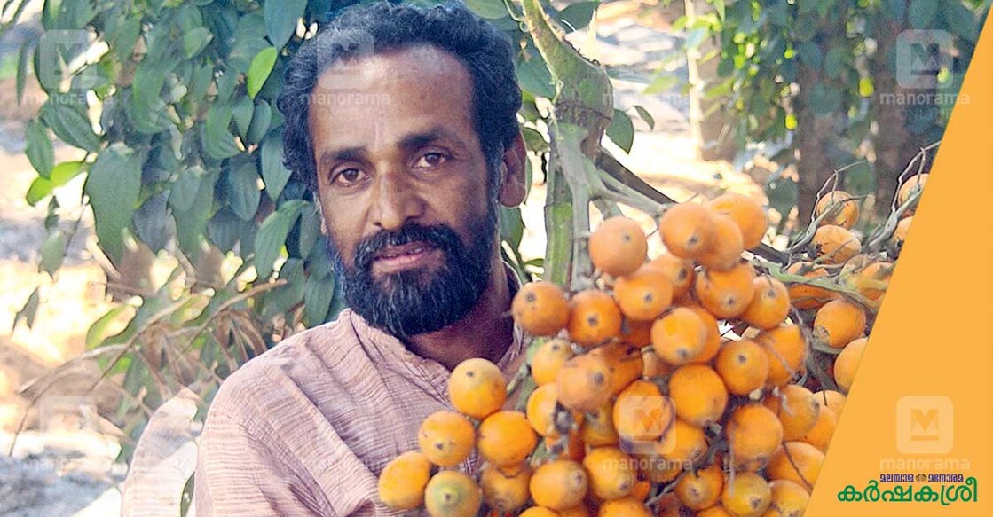 karshakasree-scariapillai karshakasree-scariapillai