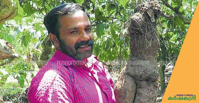 shaji-farmer-wayanadu shaji-farmer-wayanadu