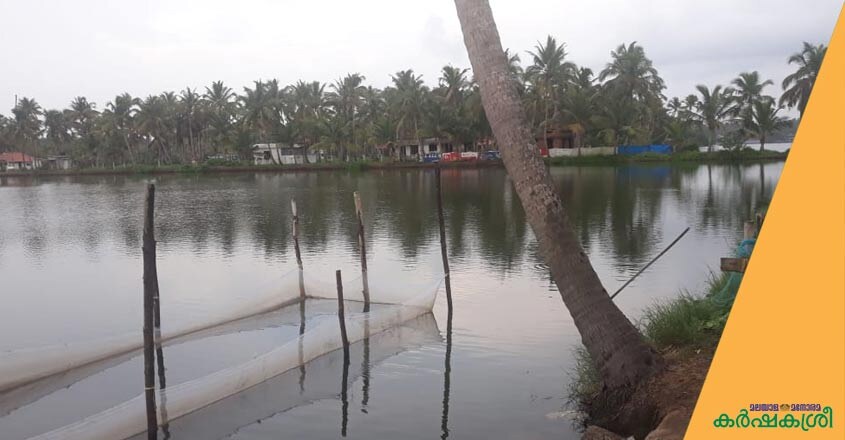 fish-farming-premsas fish-farming-premsas