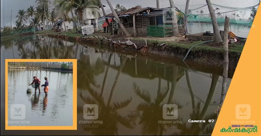 fish-farming-vinod fish-farming-vinod