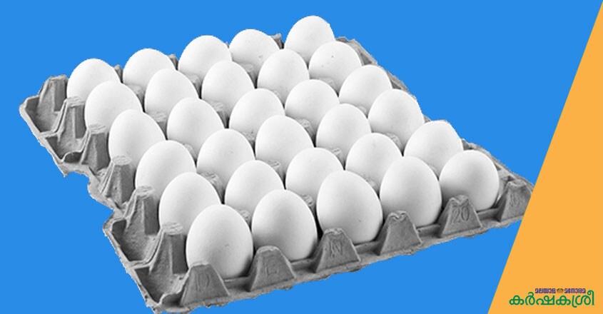 egg-12 egg-12