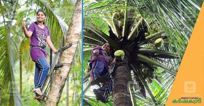 coconut-1 coconut-1