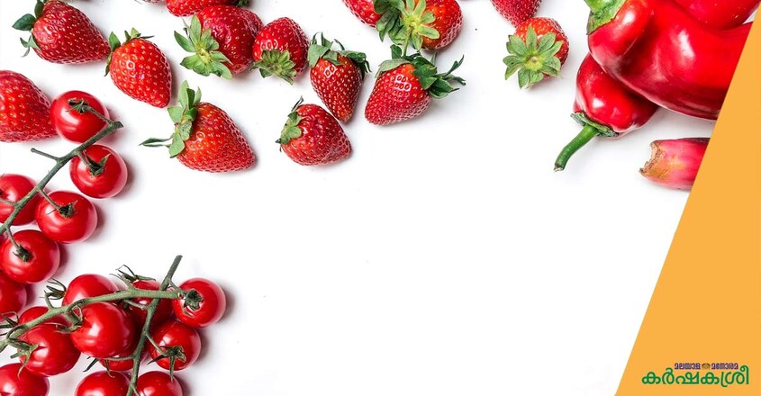 red-veg-and-fruits red-veg-and-fruits
