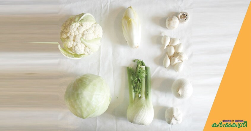 white-veg-and-fruits white-veg-and-fruits