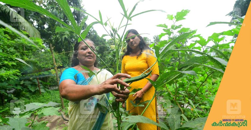 rukmini-amma-1 rukmini-amma-1