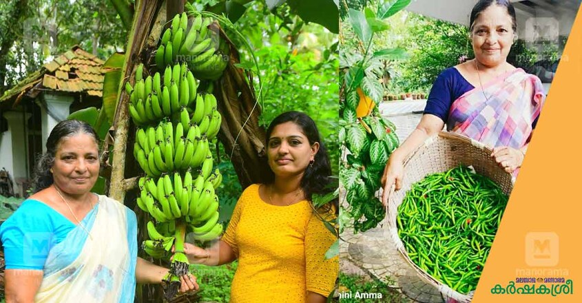 rukmini-amma rukmini-amma