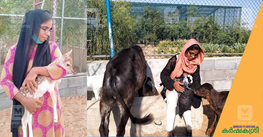 shemeera-1 shemeera-1