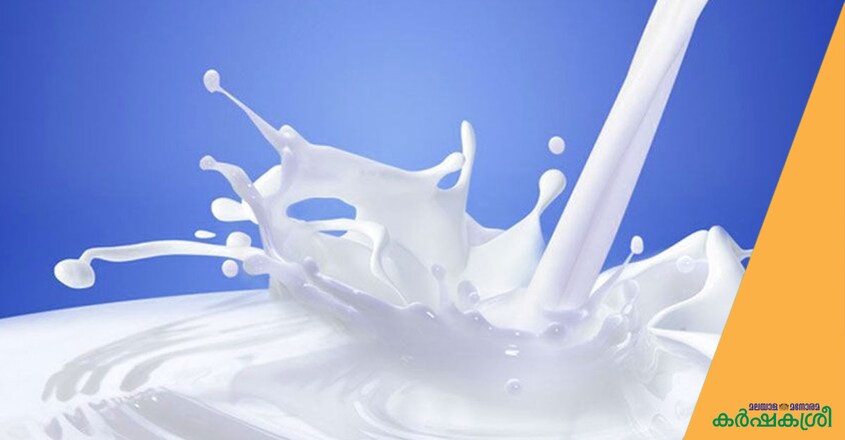 milk milk