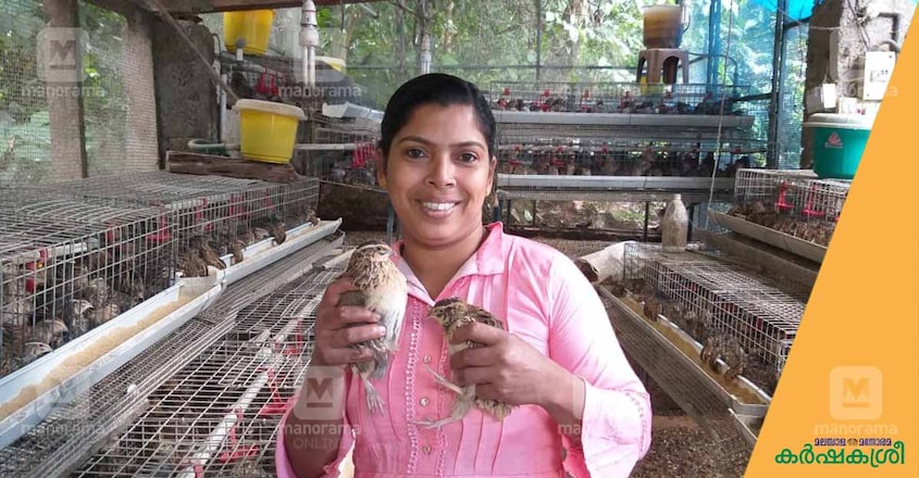 sindhu-idukki-3 sindhu-idukki-3
