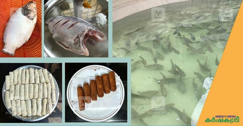 fish-roll-and-cutlate fish-roll-and-cutlate