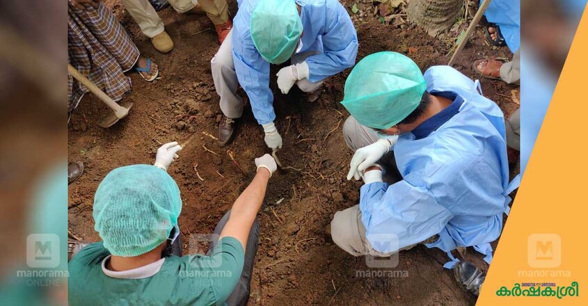 veterinary-forensic-2 veterinary-forensic-2