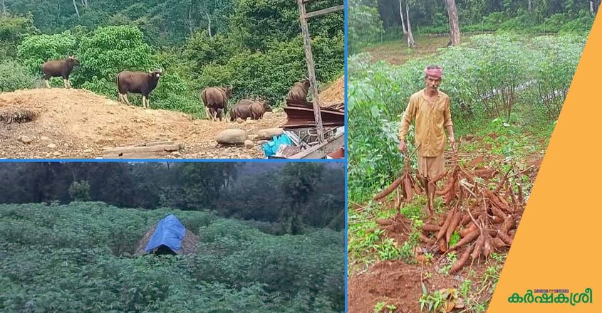 farmer farmer