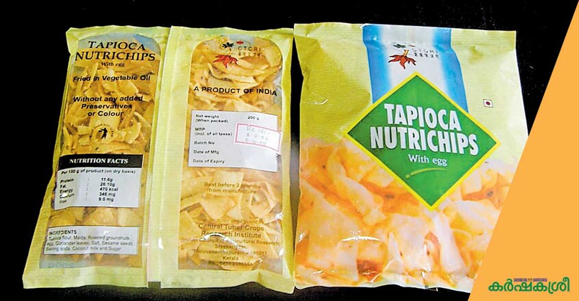 tapioca-product