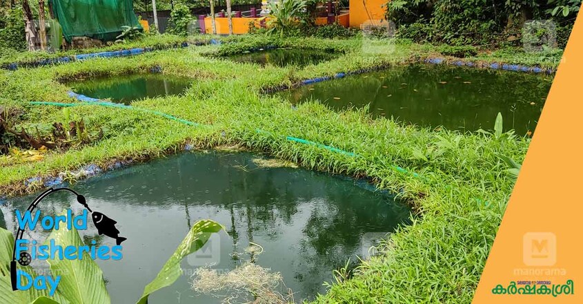jyothis-fish-farmer-3 jyothis-fish-farmer-3