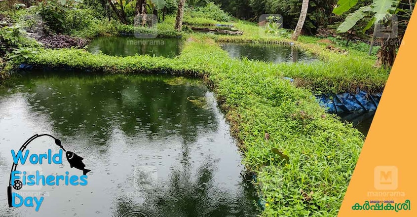 jyothis-fish-farmer-4 jyothis-fish-farmer-4