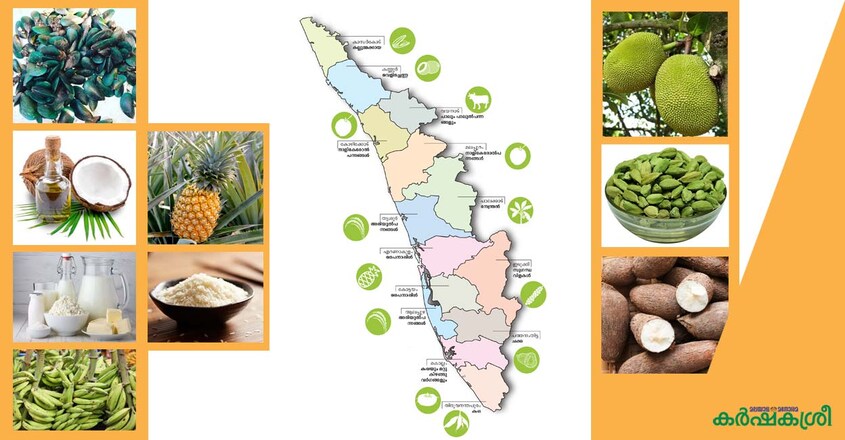 kerala-and-food-products