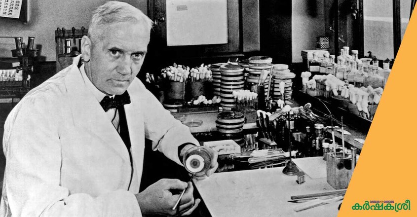 alexander-fleming alexander-fleming