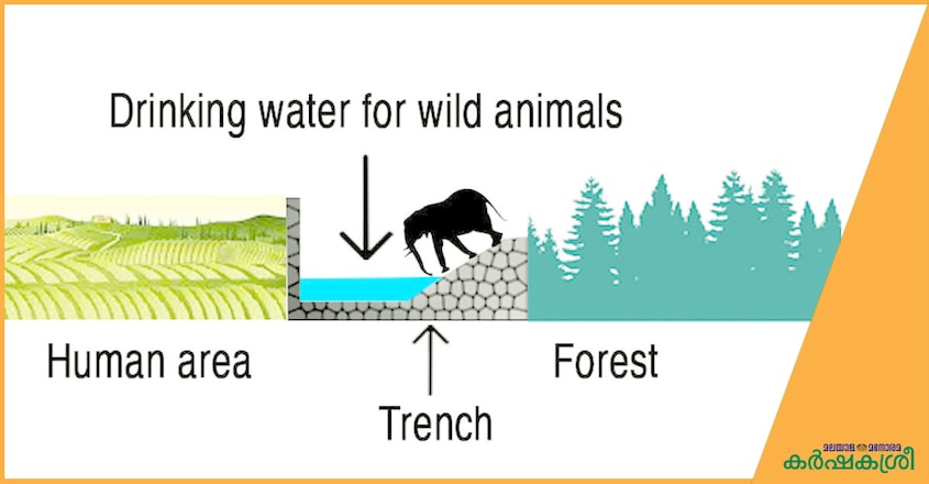 drinking-water-for-animals drinking-water-for-animals