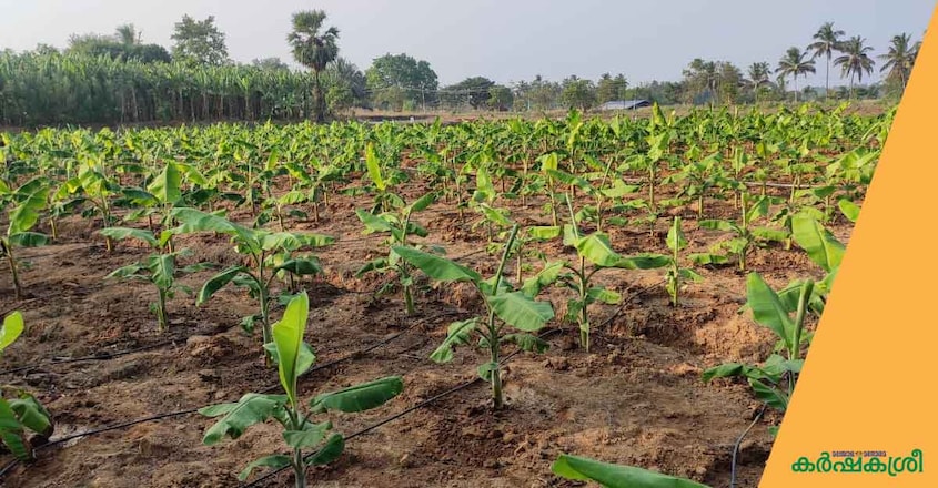 micro-irrigation micro-irrigation