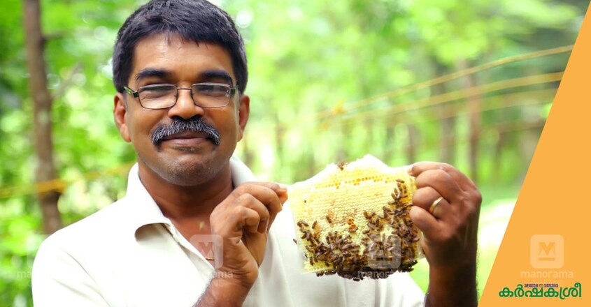roy-honey roy-honey