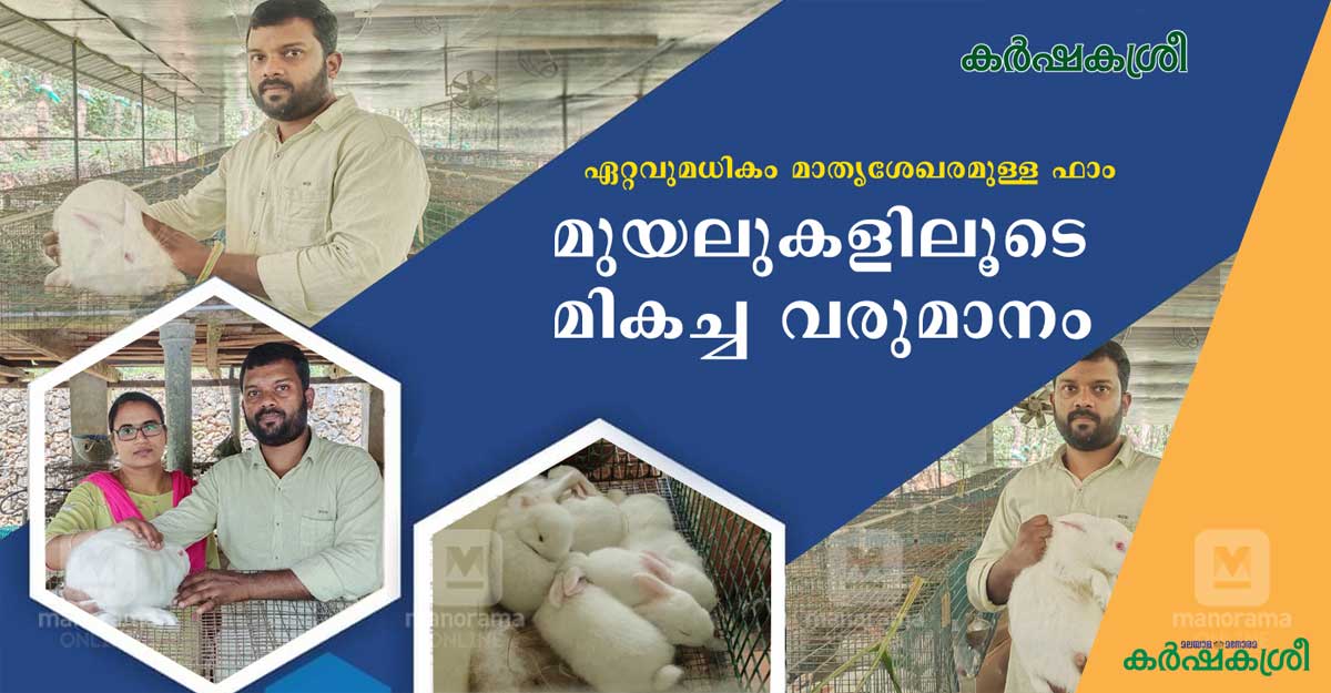 Hum Mane Rabbitry Farm മുയലാണ്, മുതലാണ്: ഇതാണ് കേരളത്തിലെ ഏറ്റവും വലിയ മുയൽ ഫാം | Biggest ...