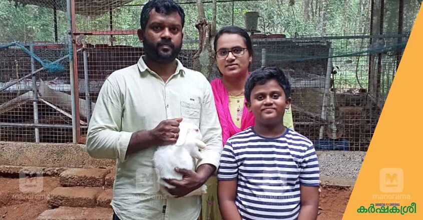 rabbit-oliver-mathew-2 rabbit-oliver-mathew-2