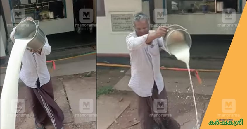 milk-2 milk-2