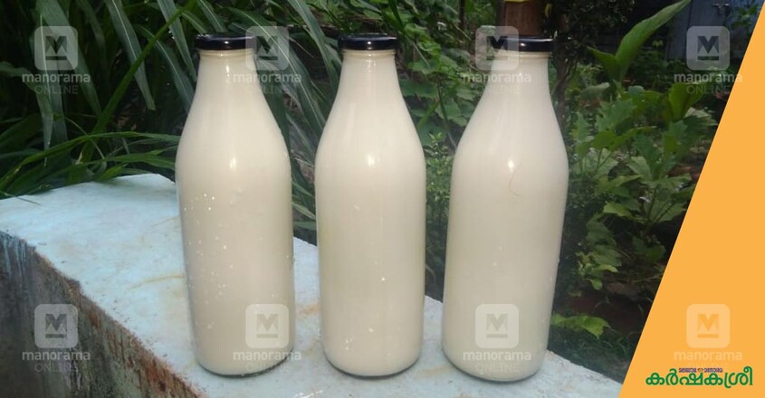 milk milk