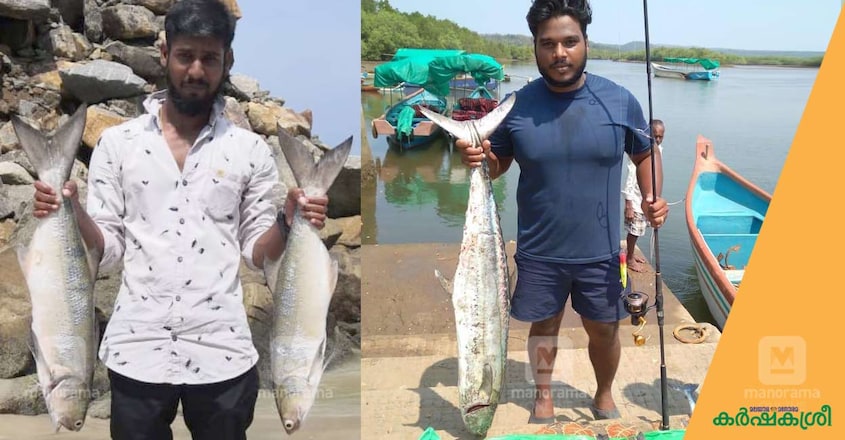 fish-indian-salmon-king-fish fish-indian-salmon-king-fish