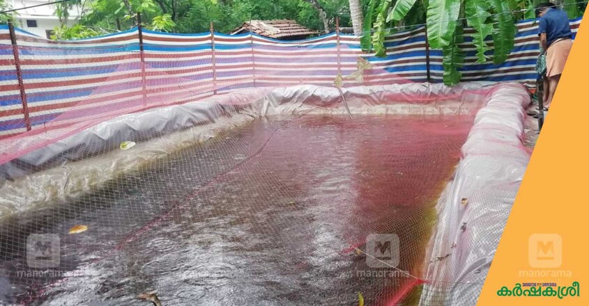 fish-farming-1 fish-farming-1