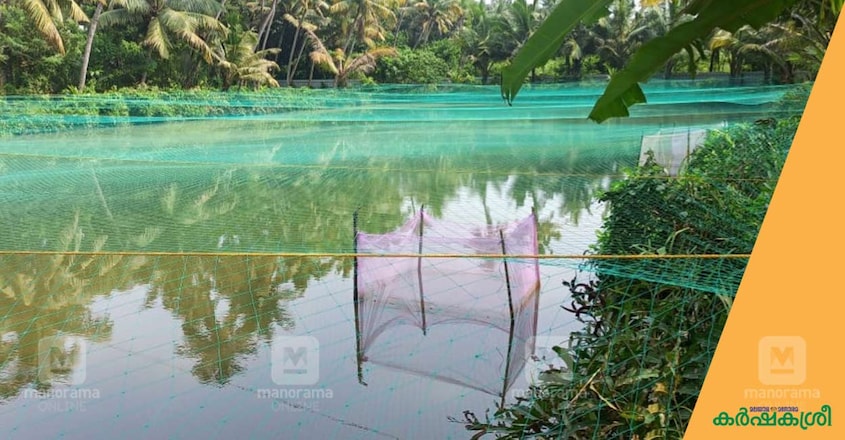 fish-farming fish-farming