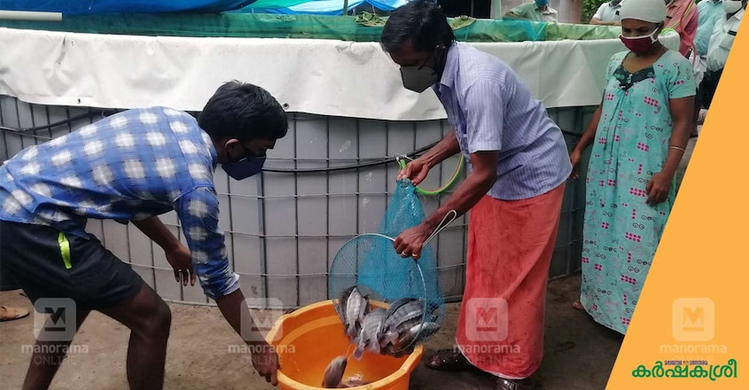 fish-harvesting-1 fish-harvesting-1