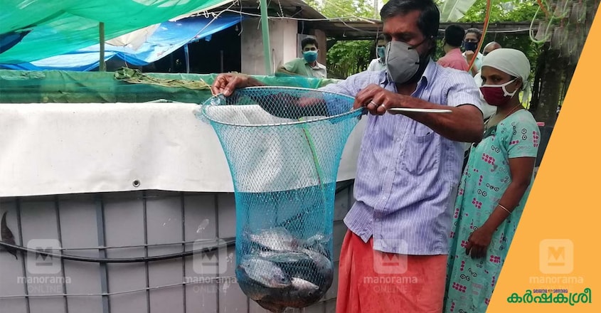 fish-harvesting fish-harvesting
