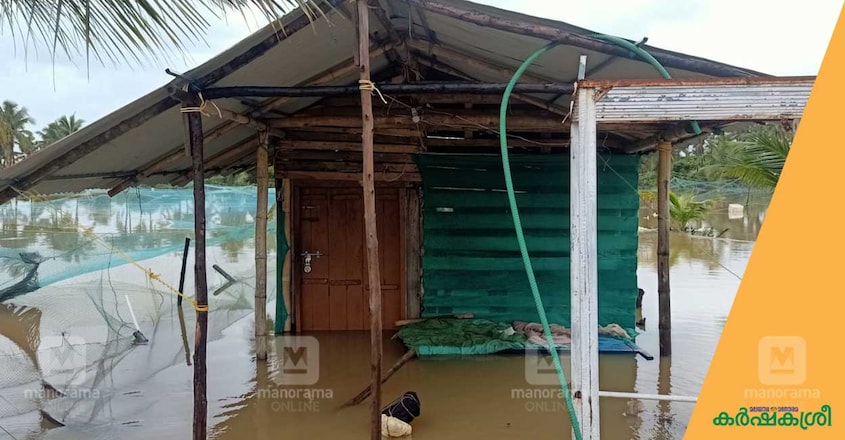 fish-farming-flood-2 fish-farming-flood-2