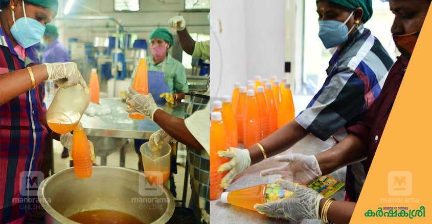 nelliyampathi-orange-food-process-2 nelliyampathi-orange-food-process-2