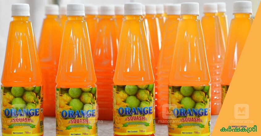 nelliyampathi-orange-food-process-3 nelliyampathi-orange-food-process-3