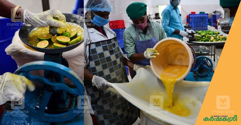 nelliyampathi-orange-food-process nelliyampathi-orange-food-process