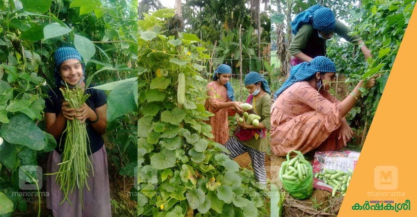 sisters-farming-1 sisters-farming-1